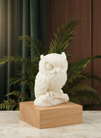 Hibou Duo d’abondance