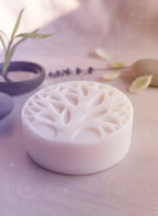 Racines éternelles Duo d’abondance