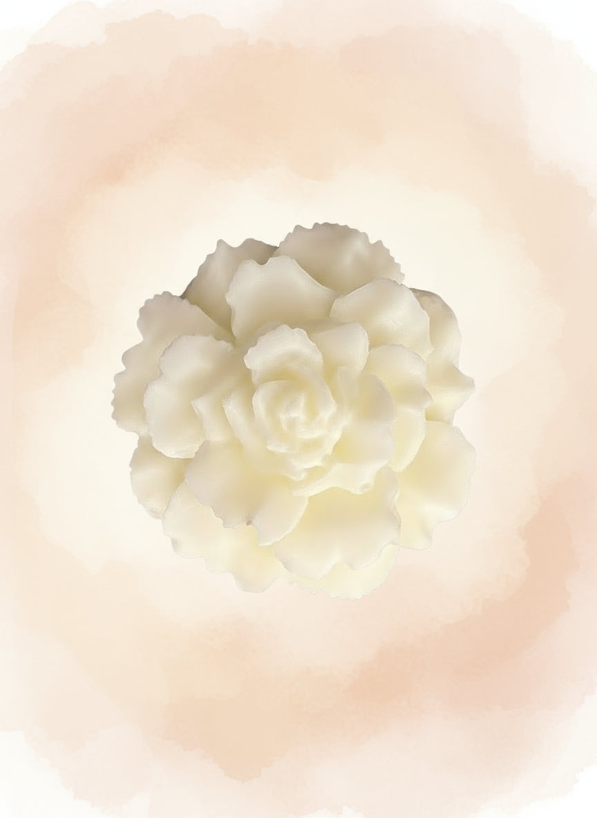 Floréal Duo d’abondance