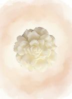 Floréal Duo d’abondance