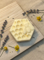 Essaim d’abeille Duo d’abondance