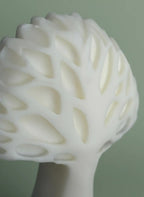 Éclat de vie Duo d’abondance