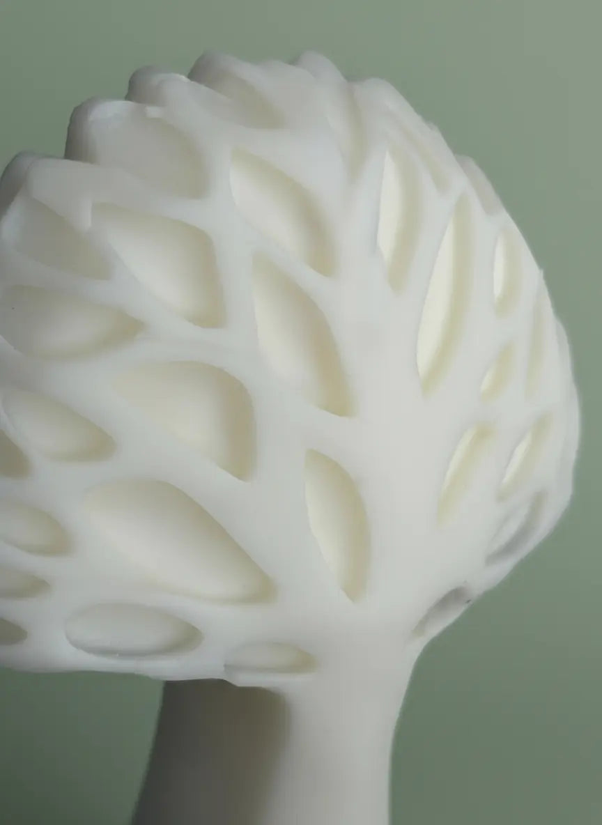 Éclat de vie Duo d’abondance