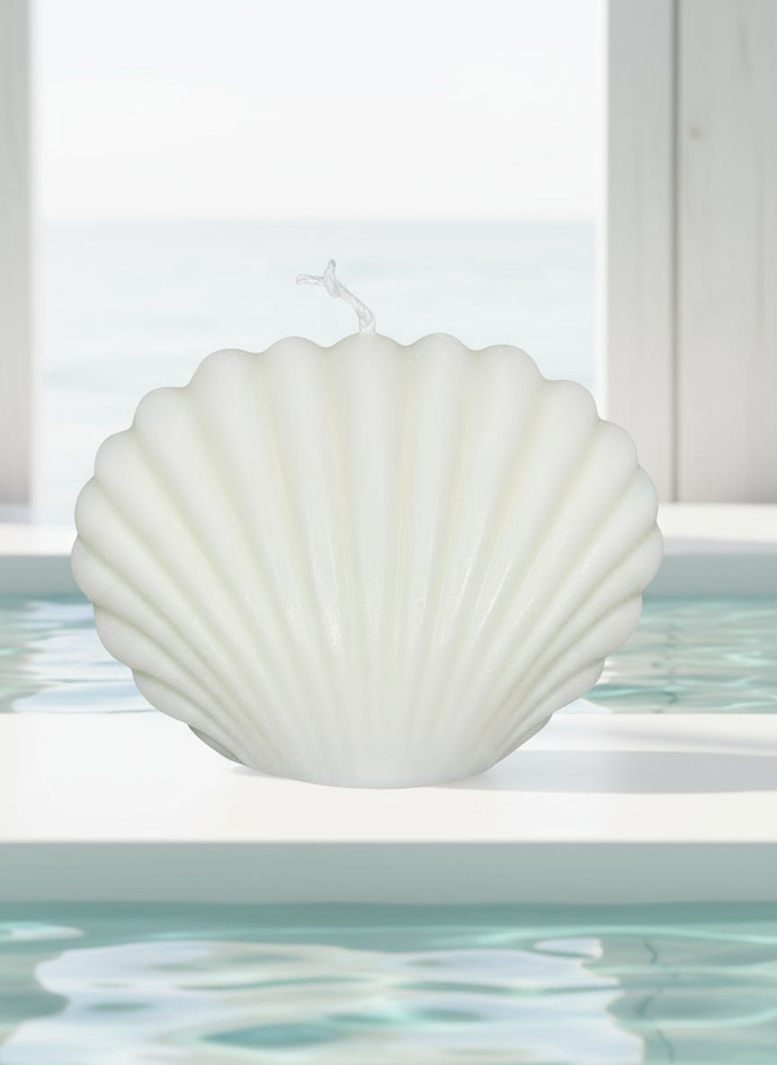 Clam Duo d’abondance